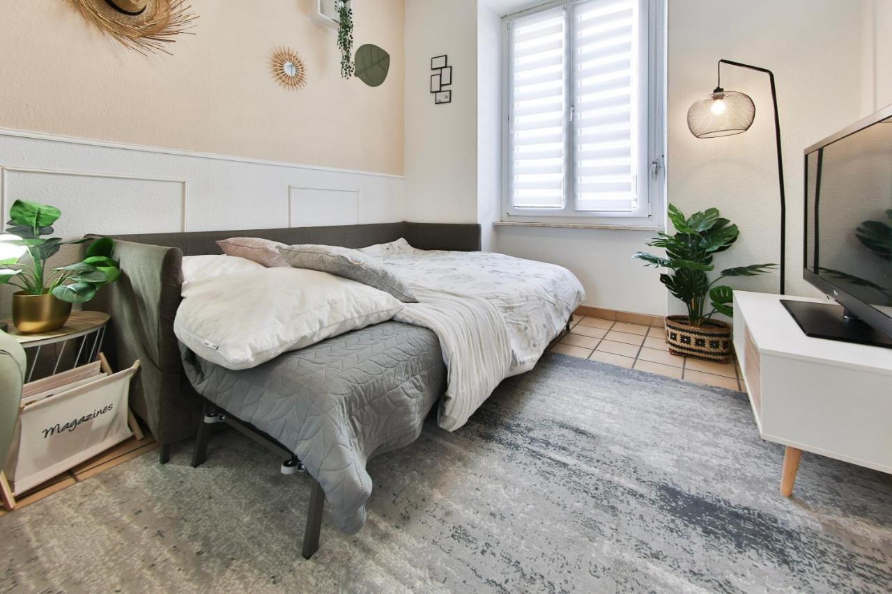 Apartamento Le Citadin - Centre - Musee Automobile - Parc Expo *